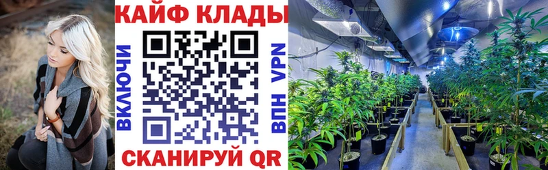 Все наркотики Сибай Конопля Кокаин Alpha PVP кракен ссылки Гашиш