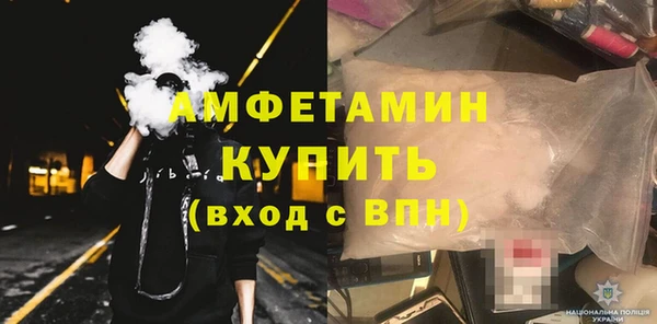 гидра Елизово