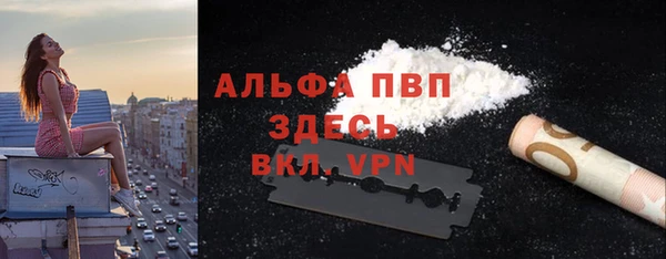ПСИЛОЦИБИНОВЫЕ ГРИБЫ Ельня