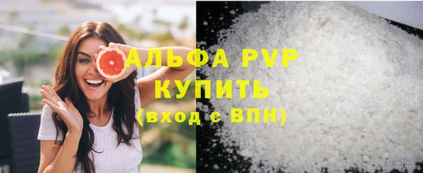 ПСИЛОЦИБИНОВЫЕ ГРИБЫ Ельня