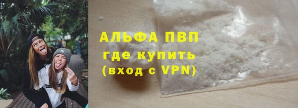 гидра Елизово
