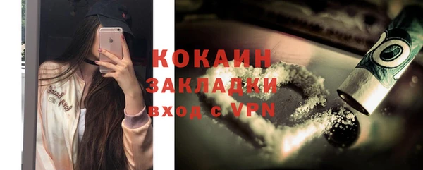 ПСИЛОЦИБИНОВЫЕ ГРИБЫ Ельня