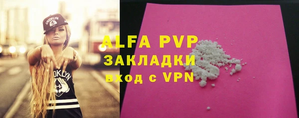 ПСИЛОЦИБИНОВЫЕ ГРИБЫ Дмитров