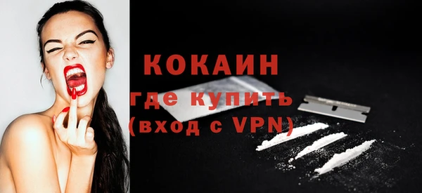 стафф Дмитриев