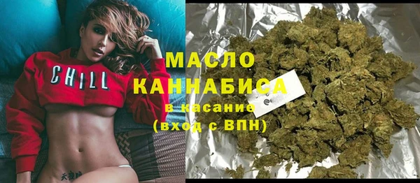 гидра Елизово