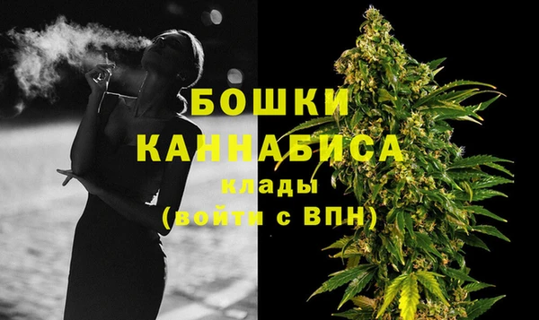 гидра Елизово