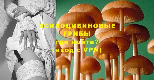 ПСИЛОЦИБИНОВЫЕ ГРИБЫ Ельня