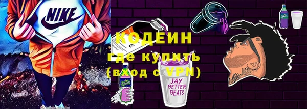 ПСИЛОЦИБИНОВЫЕ ГРИБЫ Ельня