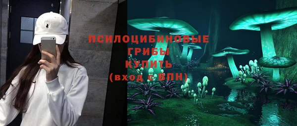 гидра Елизово