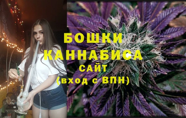 гидра Елизово