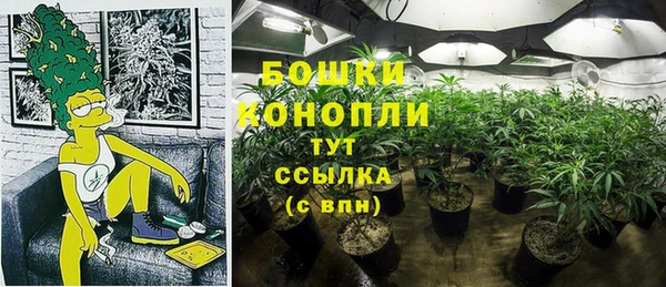 apvp Дмитровск