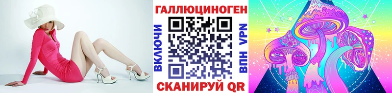 где можно купить наркотик  Сибай  Псилоцибиновые грибы Psilocybe 
